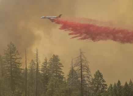 Avances y desafíos en la lucha contra los incendios forestales en California y EEUU