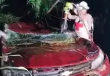 Desbarranca auto con familia en la Valles-Tamazunchale; un muerto Desbarranca auto con familia en la Valles-Tamazunchale; un muerto
