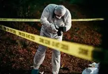 Impacto del homicidio doloso en hombres jóvenes Impacto del homicidio doloso en hombres jóvenes