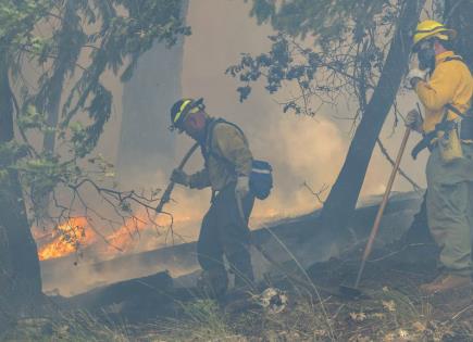 Incendios Forestales en EEUU y Canadá: Últimas Noticias