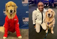 La Importancia de Beacon, el Perro en el Equipo de Gimnasia de Estados Unidos