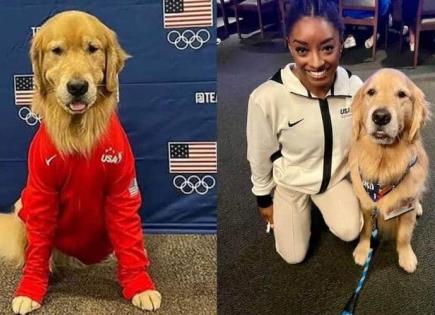 La Importancia de Beacon, el Perro en el Equipo de Gimnasia de Estados Unidos