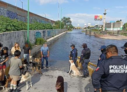 Fotos: Continúan sacando a menores y motociclistas del Río Santiago