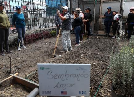 Descenso de venezolanos migrantes en Ecuador según reporte actual