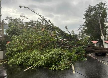 Impacto de fuertes ráfagas de viento en Ciudad de México