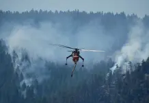 Incendio Forestal en Colorado