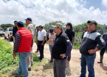 Menor desaparecido camina toda la noche y aparece con vida en Zacatecas