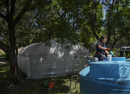 La Importancia de la Captación de Agua de Lluvia en Ciudad de México