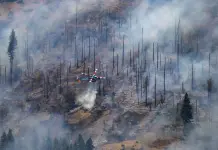 Bomberos en California enfrentan el mayor incendio forestal del a&ntilde;o