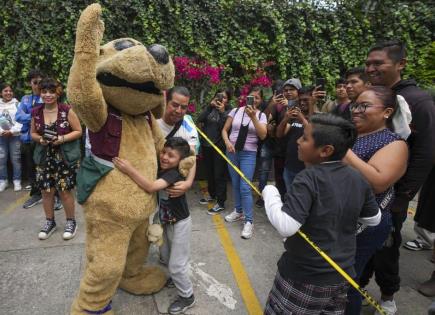 La historia de Wisin, el perrito luchador en Ciudad de México
