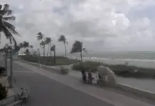 Alerta por Huracán Debby en Florida Alerta por Huracán Debby en Florida