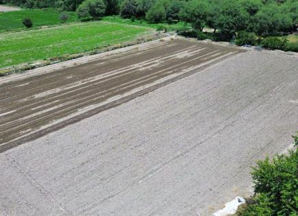 Sequía en México disminuye 33% debido a las lluvias, dice Conagua