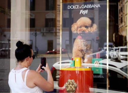 Dolce & Gabbana lanza perfume para perros: controversia veterinaria