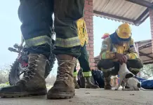 Rescate de Especialistas en Biodiversidad durante Incendios en Roboré, Bolivia Rescate de Especialistas en Biodiversidad durante Incendios en Roboré, Bolivia