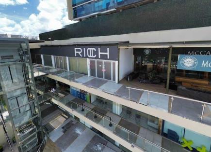 Video | Se investiga a un número indeterminado de funcionarios por caso Rich: Contralor