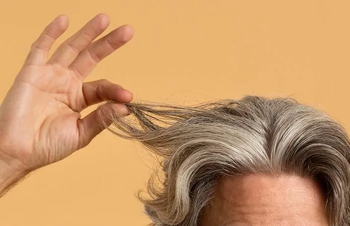 Guía completa de productos para cubrir canas al instante