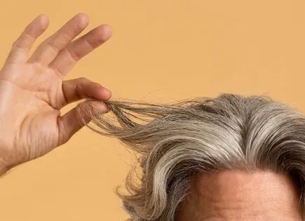 Guía completa de productos para cubrir canas al instante