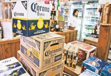 Proyecto de Constellation Brands en Veracruz: Actualizaciones y Perspectivas