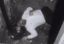 Tragedia en elevador en Coyoacán Tragedia en elevador en Coyoacán