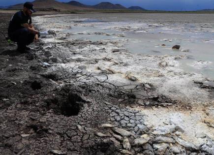 Impacto de la sequía en Chihuahua: Desastre ecológico en lagunas