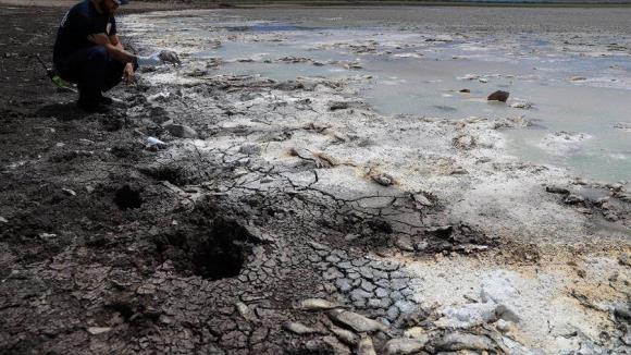 Impacto de la sequía en Chihuahua: Desastre ecológico en lagunas