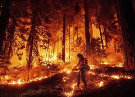 Incendio Forestal en California: Actualización y Contención