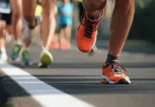 La planta milenaria ashwagandha y sus beneficios La planta milenaria ashwagandha y sus beneficios