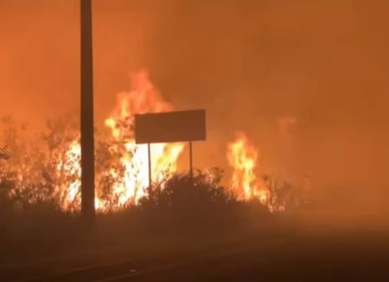 Control exitoso del incendio en montes de Sisal Yucatán