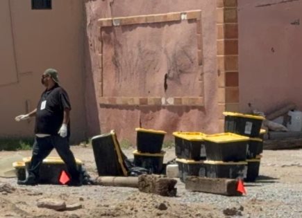 Descubren tortugas en cajas negras en Ciudad Juárez