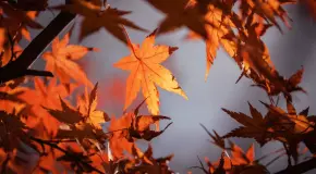 &iquest;Cu&aacute;ndo y a qu&eacute; hora ocurrir&aacute; equinoccio de oto&ntilde;o en M&eacute;xico?