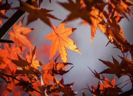 Equinoccio de otoño: ¿Cuándo es y qué significa?