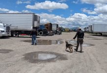 Cateo en bodega asegura múltiples automotores en Tizayuca