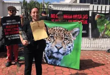 Denuncia de Contaminación en Mega Granjas de Cerdos en Yucatán Denuncia de Contaminación en Mega Granjas de Cerdos en Yucatán