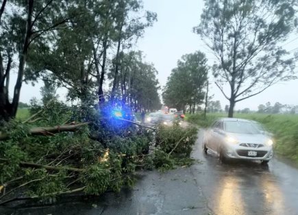 Emergencia Vial por Caída de Árboles en Zumpango