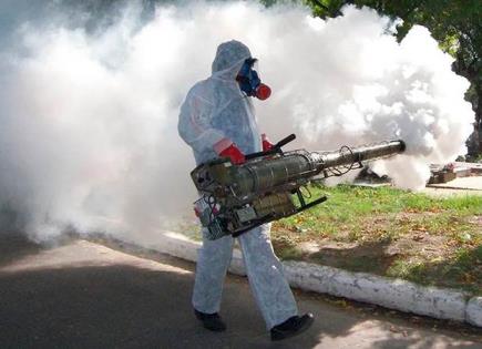 Ayuntamiento no hace trabajos de fumigación