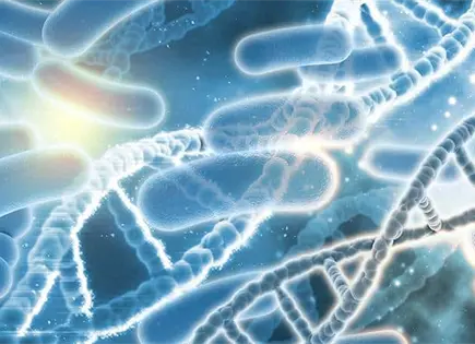 Senado de México presenta reforma histórica en Ley General de Salud Senado de México presenta reforma histórica en Ley General de Salud