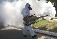 A la alza casos de dengue en San Luis Potosí en 2025 A la alza casos de dengue en San Luis Potosí en 2025