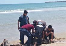 Capturan a cocodrilo en playa de Tamaulipas