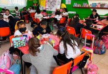 Violencia Escolar y sus Impactos en la Educación en Hidalgo