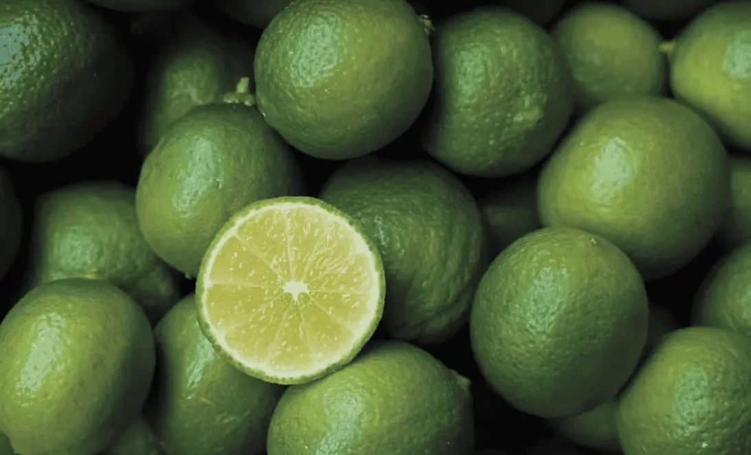 Asesinatos y extorsiones sacuden a productores de limón en Michoacán