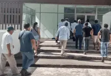 Productores de c&iacute;tricos enfrentan cobro excesivo de CFE