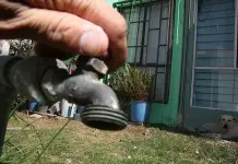 Villa de Pozos, nuevo municipio, sufre crisis de agua y basura