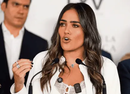 Rojo de la Vega asegura que no ordenó operativo en Multiforo
