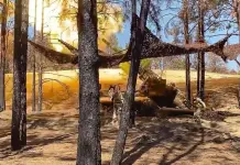 Escalada de tensiones entre Rusia y Ucrania
