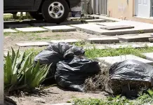 Villa de Pozos no tiene en qué mover su basura Villa de Pozos no tiene en qué mover su basura