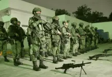 Control de Fronteras y Decomisos de Narc&oacute;ticos en M&eacute;xico