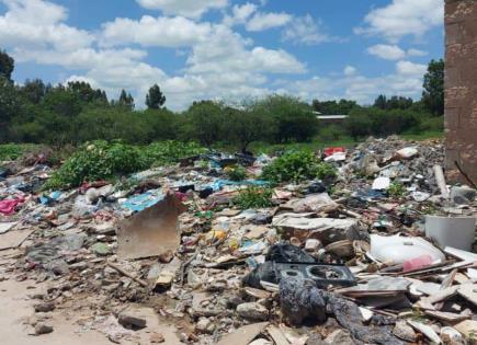 Usan como basurero terrenos baldíos en Soledad