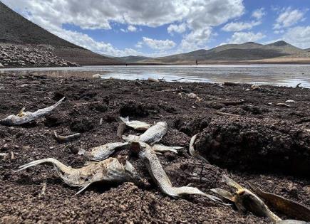 Impacto de la sequía en Chihuahua y la presa Las Lajas