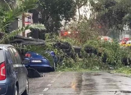 Incidente por árbol caído en Walmart tras tormenta en alcaldía Benito Juárez.