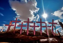 Diario asesinan a 8 mujeres en México: SESNSP